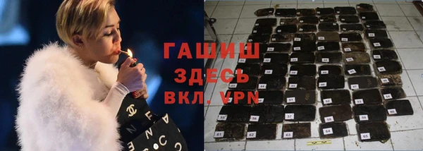 индика Алзамай