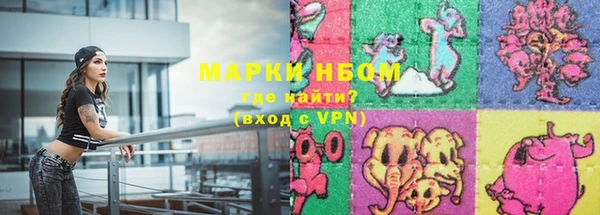 индика Алзамай