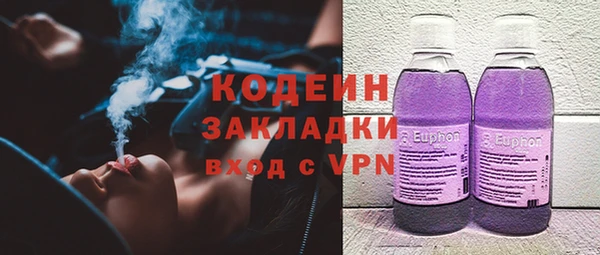 индика Алзамай