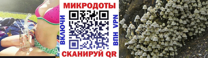 Галлюциногенные грибы Psilocybe  Яровое 